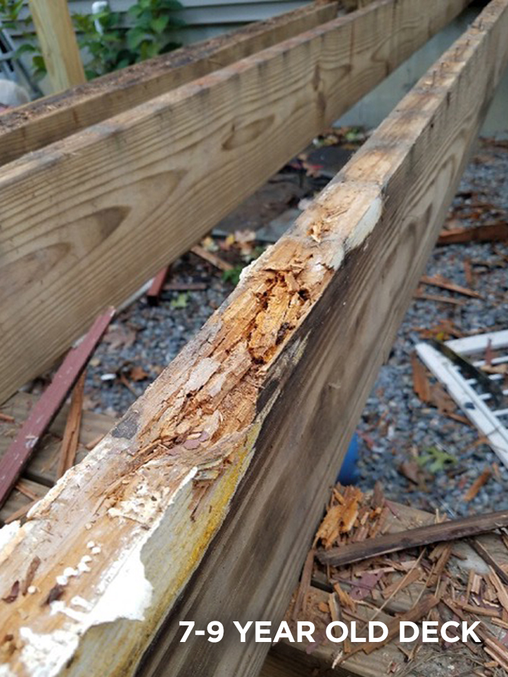 How to Create a Waterproof Deck Trex Protect Joist, Bearer & Rim Tape AU