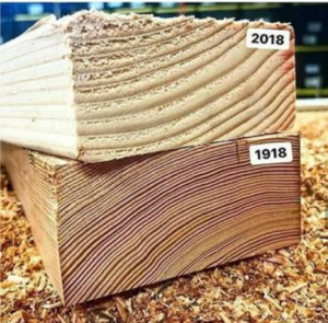 Comparing old timber with new timber