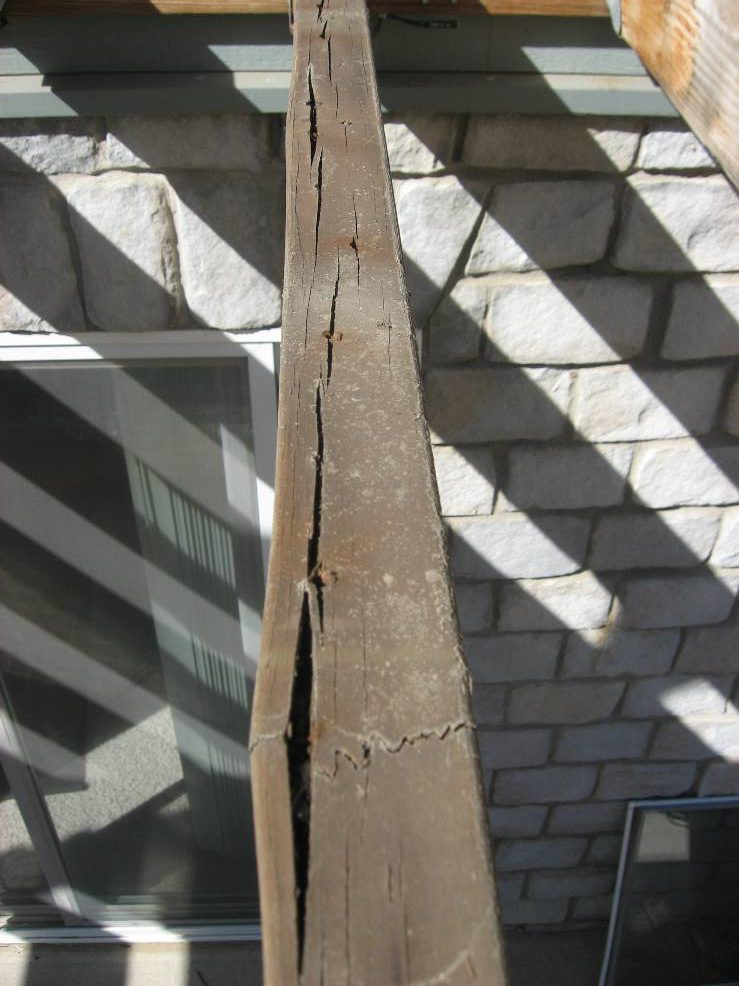 What is Wet & Dry Rot? Differences and Treatments Trex Protect Joist