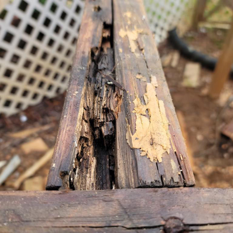 How to Identify Dry Rot: Signs and Treatment - Trex Protect Joist ...