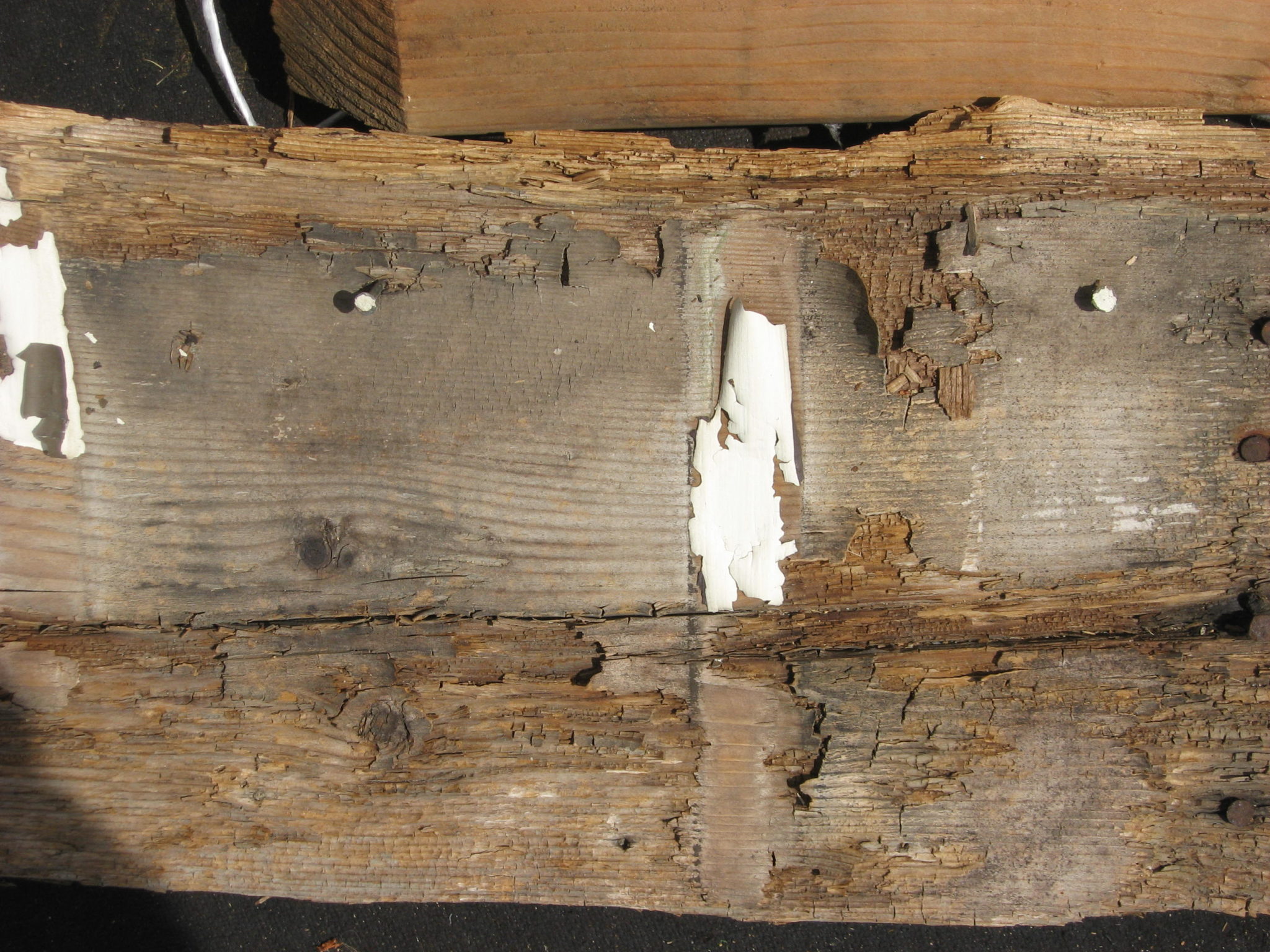 5 Steps on How to Repair Wood Rot Deck Joist, Beam & Rim Tape Trex